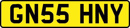 GN55HNY