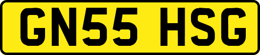 GN55HSG