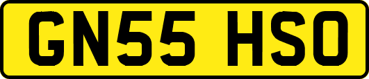 GN55HSO