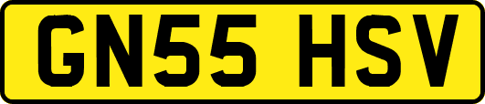 GN55HSV