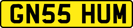 GN55HUM