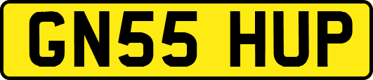 GN55HUP