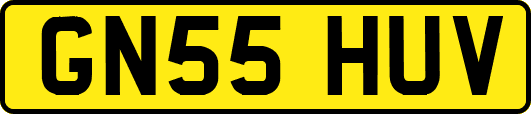 GN55HUV