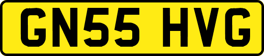 GN55HVG
