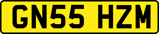 GN55HZM