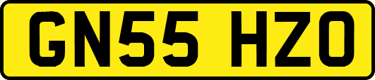 GN55HZO