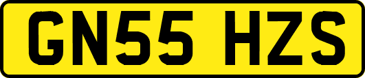 GN55HZS