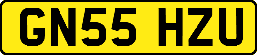 GN55HZU