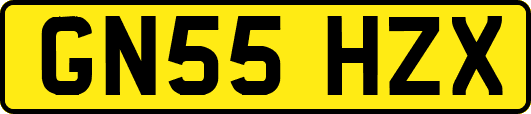 GN55HZX