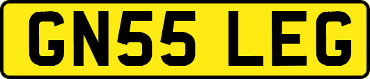 GN55LEG