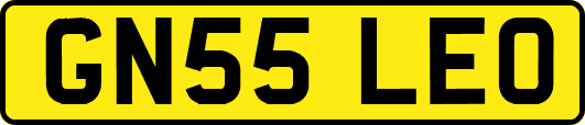 GN55LEO