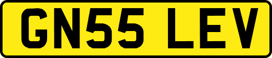 GN55LEV