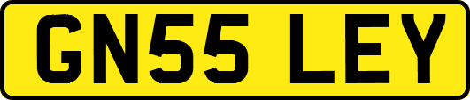 GN55LEY