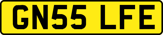 GN55LFE