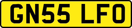 GN55LFO