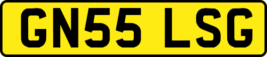 GN55LSG