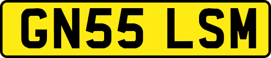 GN55LSM