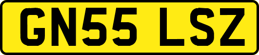 GN55LSZ
