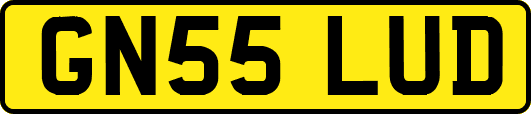 GN55LUD