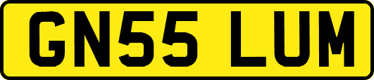 GN55LUM