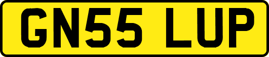 GN55LUP