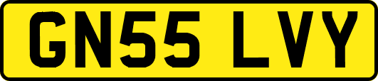 GN55LVY