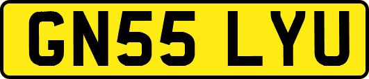 GN55LYU