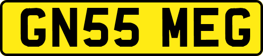 GN55MEG