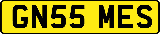 GN55MES