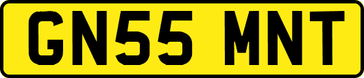 GN55MNT