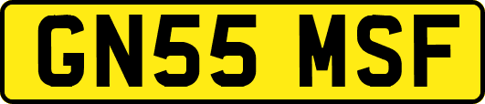 GN55MSF