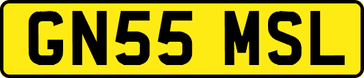 GN55MSL