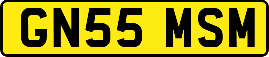 GN55MSM