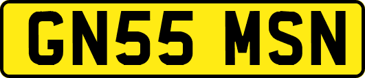 GN55MSN