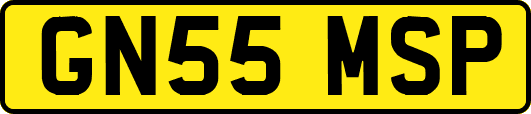 GN55MSP