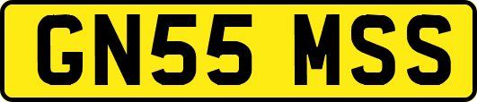 GN55MSS