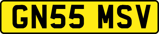 GN55MSV