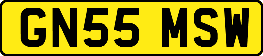 GN55MSW