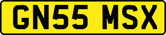 GN55MSX