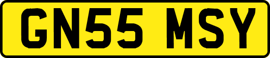 GN55MSY
