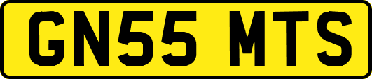 GN55MTS