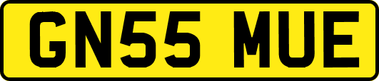 GN55MUE