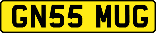 GN55MUG
