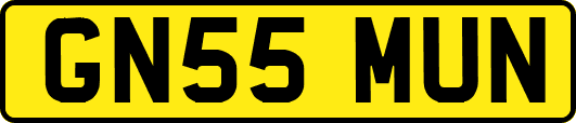 GN55MUN