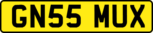 GN55MUX