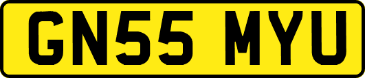 GN55MYU