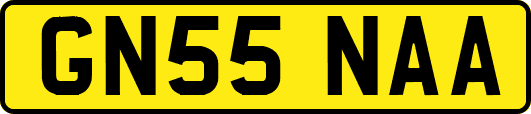 GN55NAA