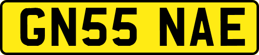 GN55NAE