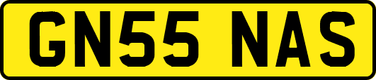GN55NAS
