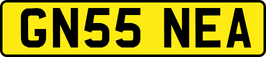 GN55NEA